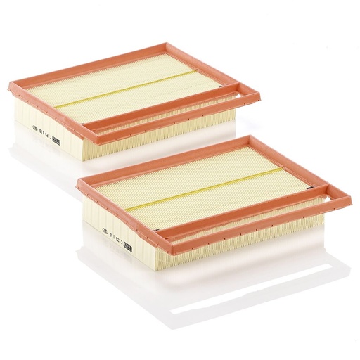 [C25110-2] AIR FILTER KIT MANN MERC