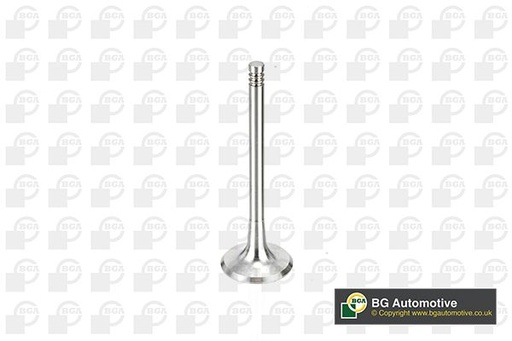[V163720] INTAKE VALVE BGA VAG