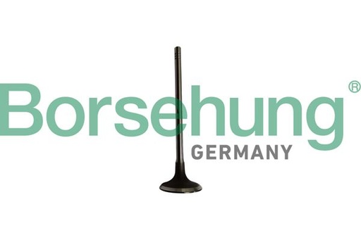 [B10334] INTAKE VALVE BORSEHUNG BMW