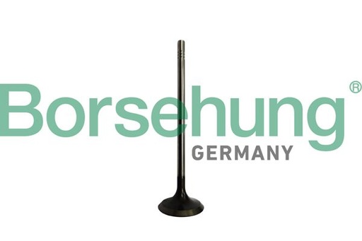 [B10328] INTAKE VALVE BORSEHUNG VAG