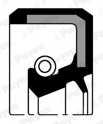 [NA5192] CRANKSHAFT SEAL REAR PAYEN PSA
