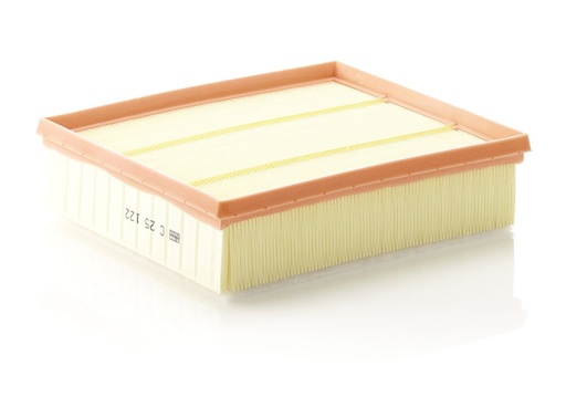 [C25122] AIR FILTER MANN LAND ROVER