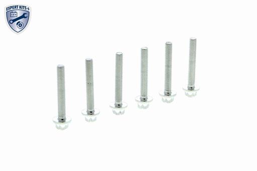 [V30-2283] TRANSMISSION SCREW KIT VAICO