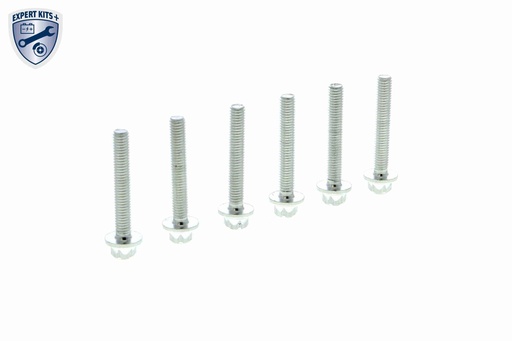 [V30-2283] TRANSMISSION SCREW KIT VAICO