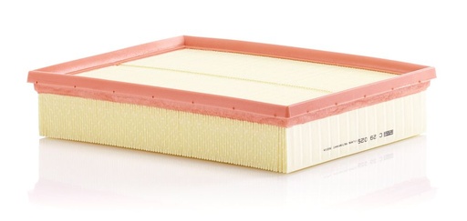 [C29029] AIR FILTER MANN VAG