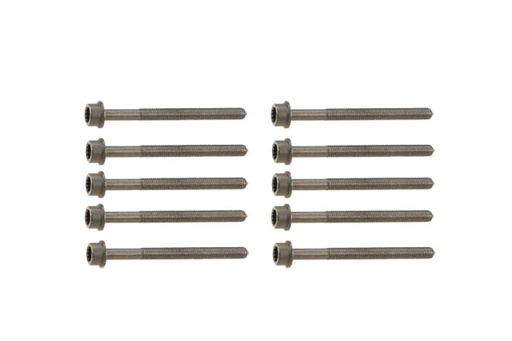 [B10625] HEAD BOLT KIT [10 PCS] BORSEHUNG VAG