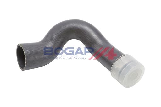 [A1711349] CHARGE AIR HOSE BOGAP VAG