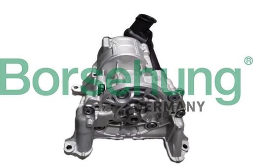 [B12881] OIL PUMP SET BORSEHUNG VAG