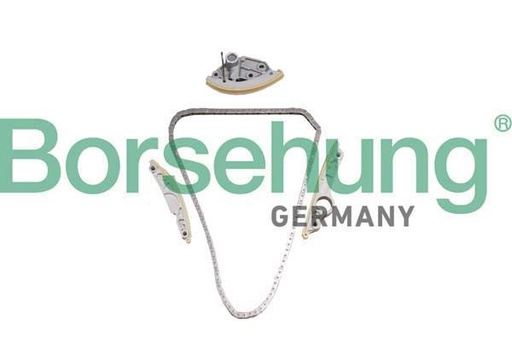 [B10246] TIMING CHAIN KIT BORSEHUNG VAG